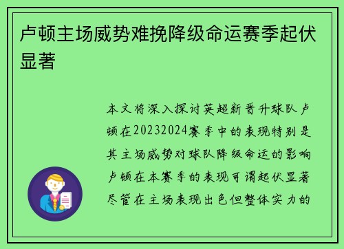 卢顿主场威势难挽降级命运赛季起伏显著 卢顿主场威势难挽降级命运赛季起伏显著